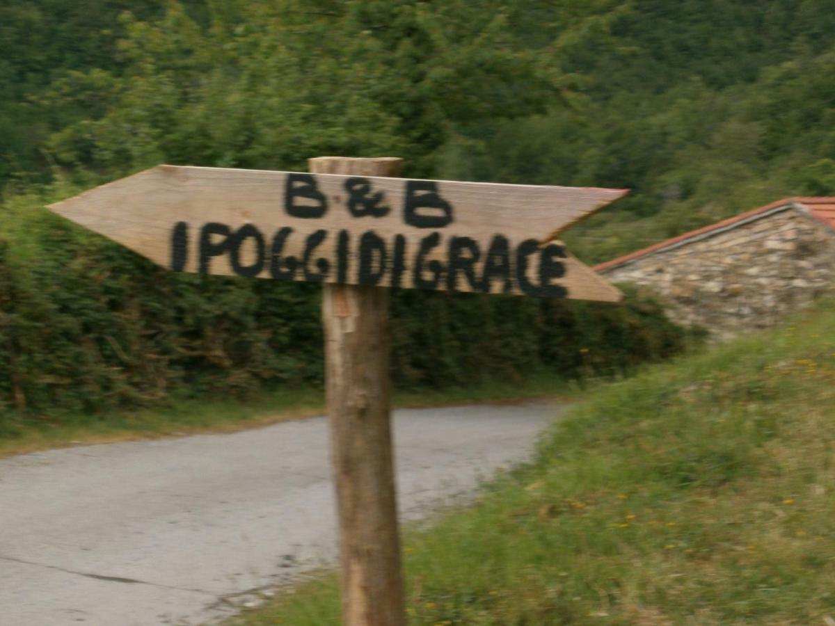 I Poggi Di Grace Panzió Fivizzano Kültér fotó